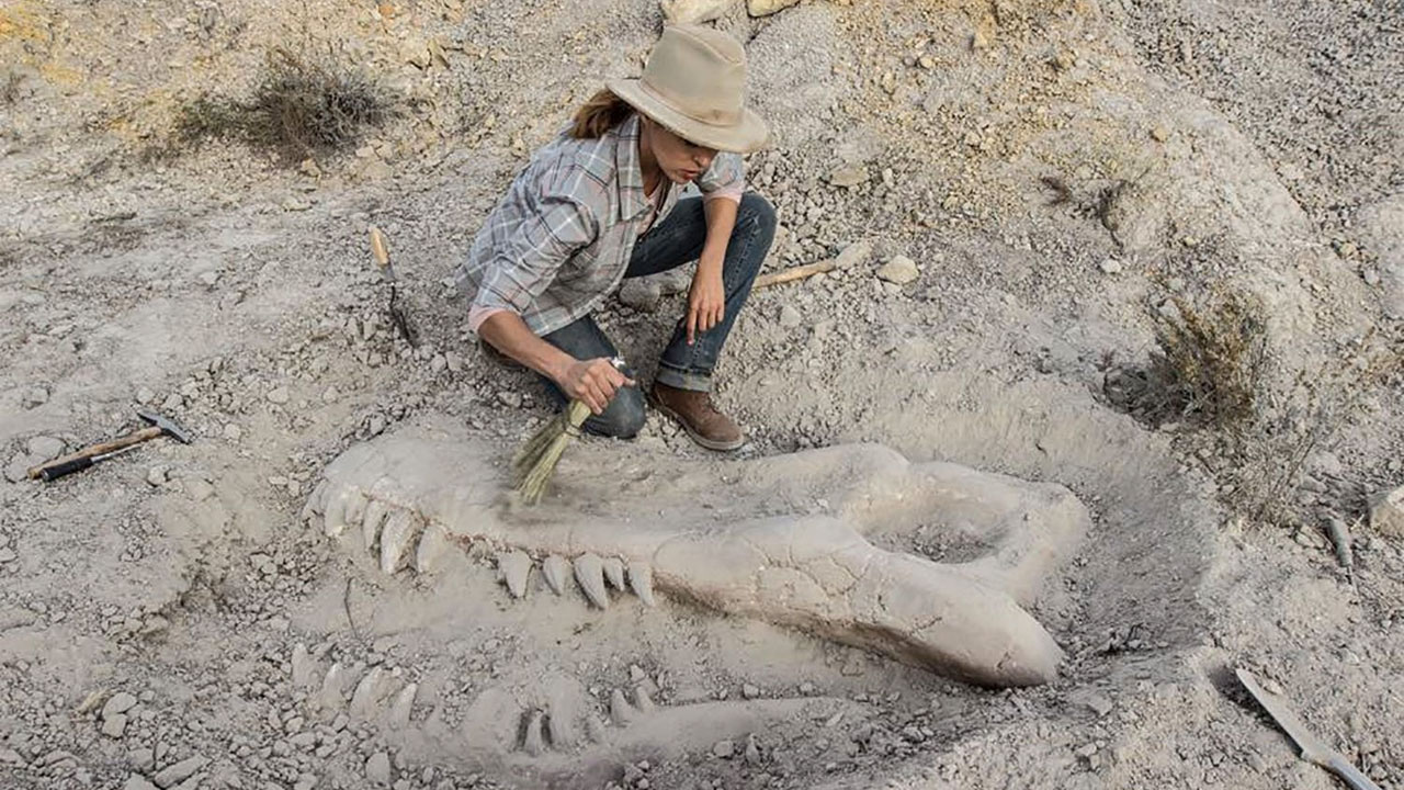 Valley of Bones