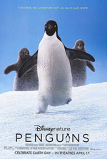Poster Penguins  n. 0