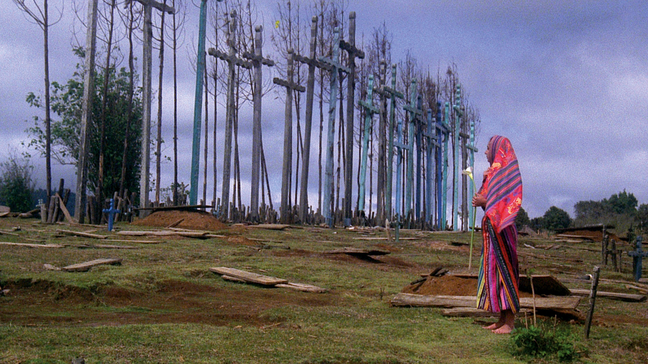 El Norte Film (1984) MYmovies.it