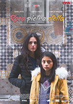 Poster Rosa Pietra Stella  n. 0