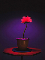 Poster Little Joe  n. 1