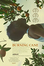 Poster Burning Cane  n. 0
