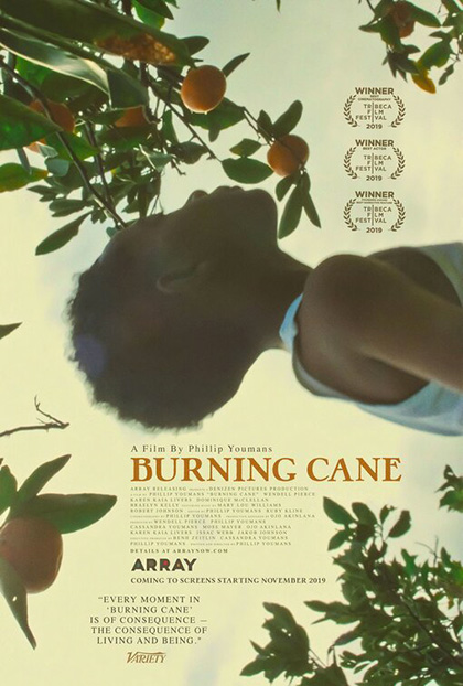 Locandina italiana Burning Cane