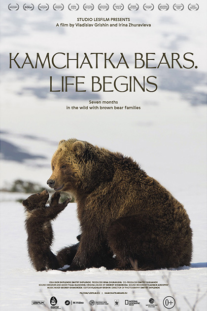 Locandina italiana Kamchatka Bears - Dove la vita ha inizio
