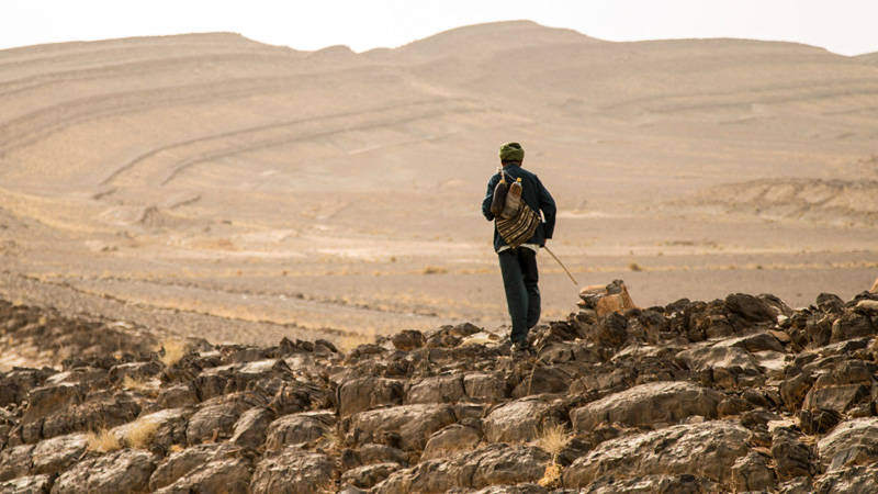 Le Ciel, la Terre et l'Homme