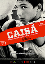 Poster Caisa  n. 0