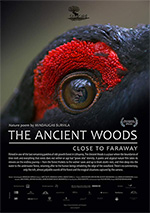Poster The Ancient Woods  n. 0