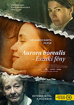 Poster Aurora Borealis  n. 0
