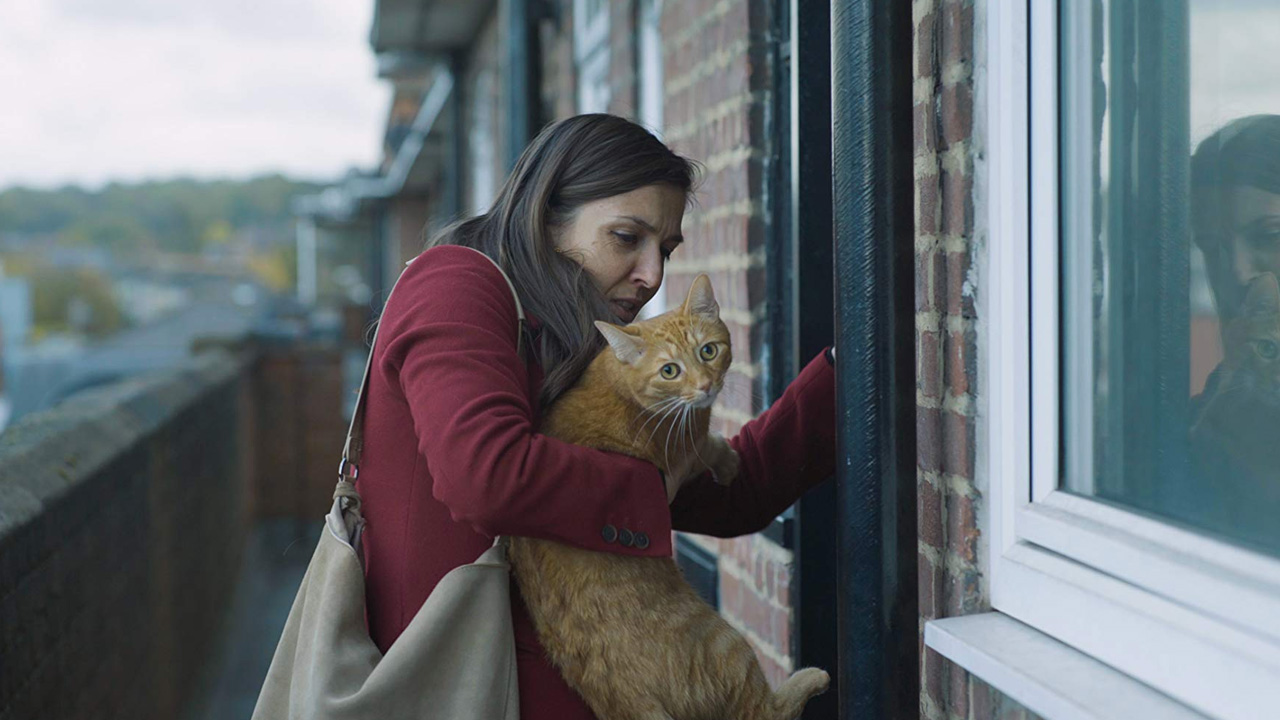  Dall'articolo: Cat in the Wall, Londra e i suoi sobborghi per un un film politico alla Ken Loach. Gratis in streaming.