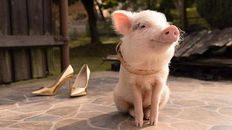 Eine Ganz Heiße Nummer 2.0