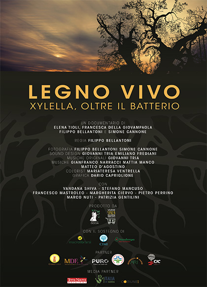Locandina italiana Legno vivo - Xylella: oltre il batterio