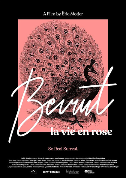 Locandina italiana Beirut: La Vie En Rose