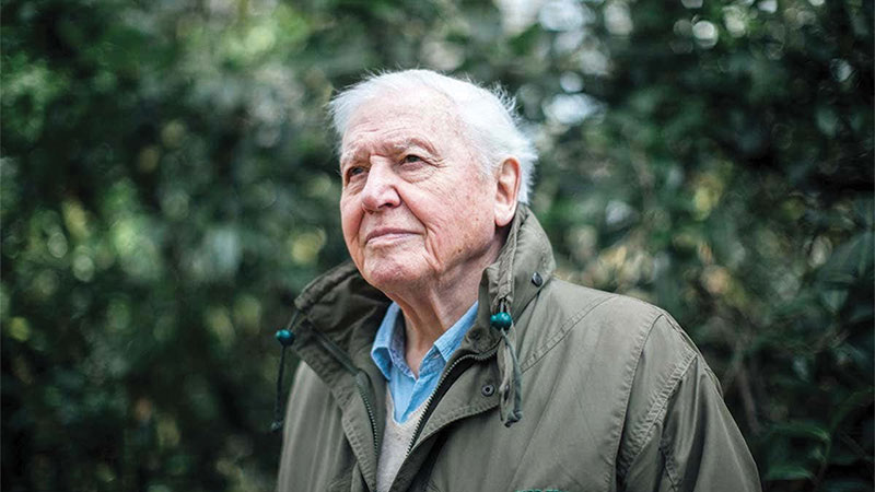 David Attenborough: Una vita sul nostro pianeta