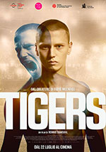 Poster Tigers  n. 0