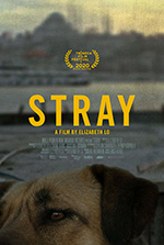 Poster Stray  n. 0