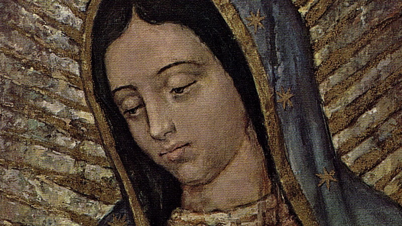 Guadalupe - Un'Immagine viva