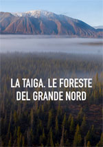 La Taiga. le foreste del Grande Nord