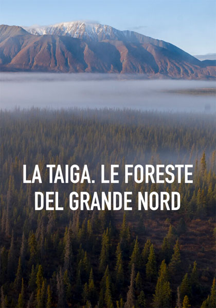 Locandina italiana La Taiga. le foreste del Grande Nord
