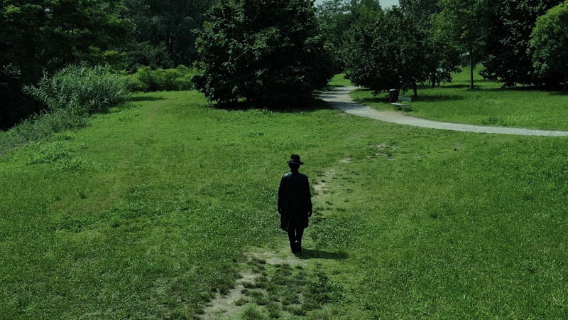 Nel ventre dell'enigma