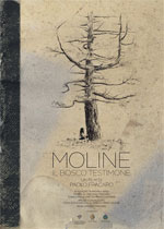 Poster Moline, il bosco testimone  n. 0