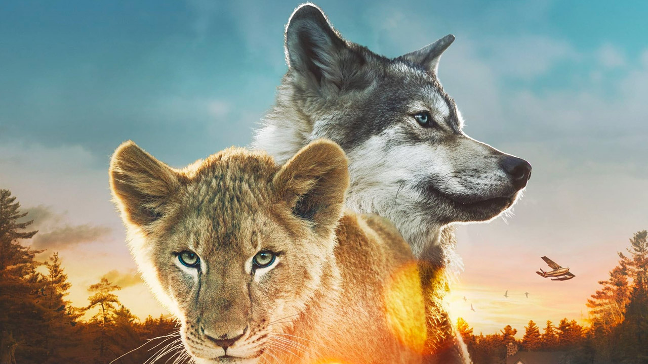 Il lupo e il leone, una riflessione sulla scarsa fiducia riposta negli animali dagli esseri umani