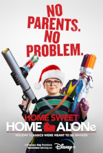 Poster Home Sweet Home Alone - Mamma ho perso l'aereo  n. 0