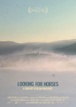 Poster Looking for Horses  n. 0