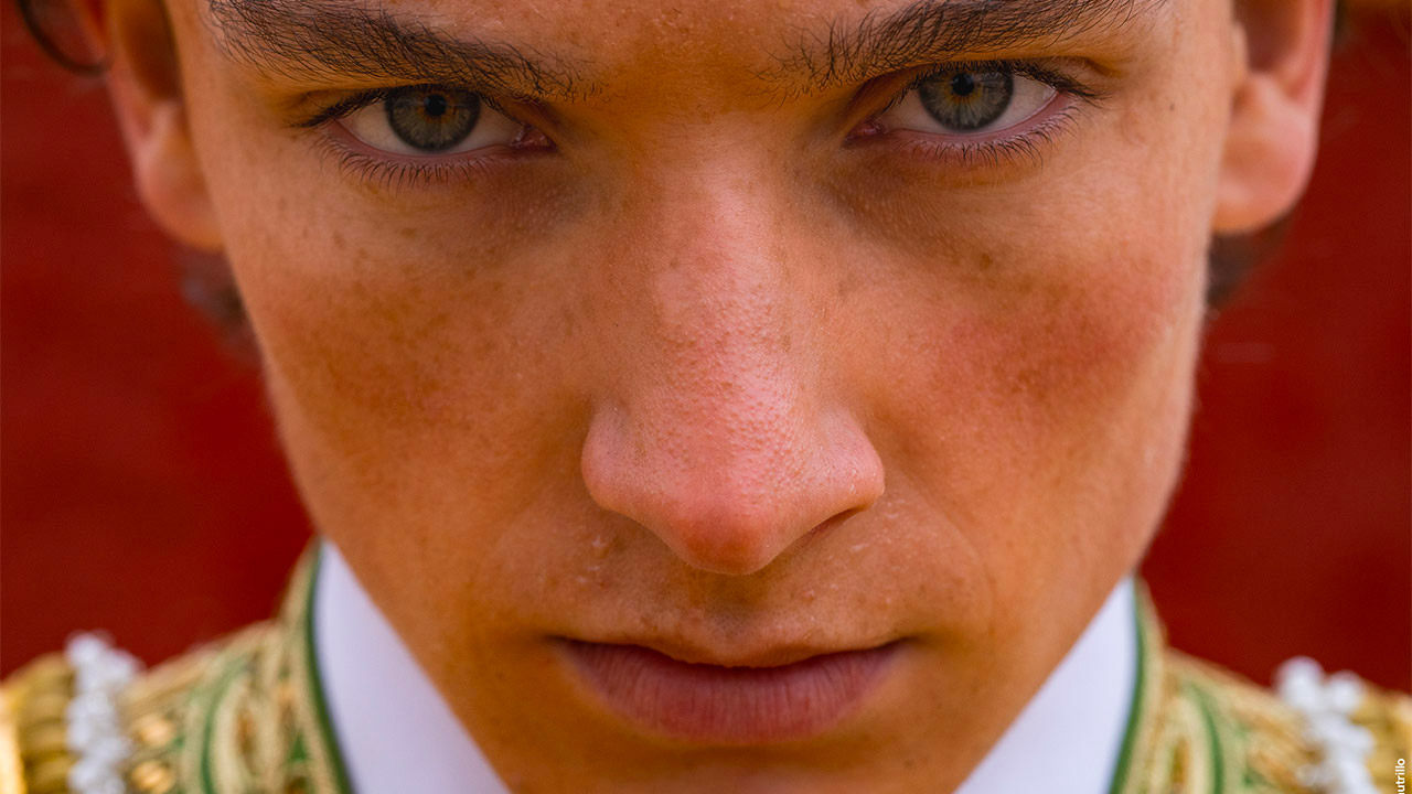  Dall'articolo: Animale Umano, una storia di tori e toreri in cui a mancare sono proprio il sangue e l'arena.