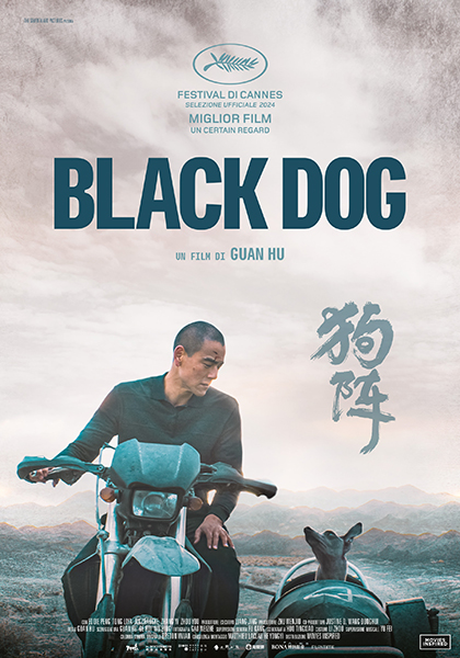 Black Dog - Film (2024) - MYmovies.it
