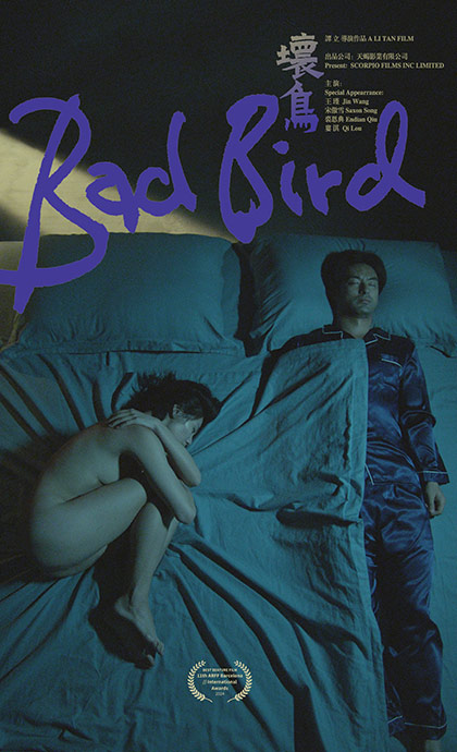 Locandina italiana Bad Bird