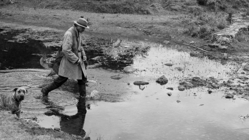 The Disappearance of Josef Mengele