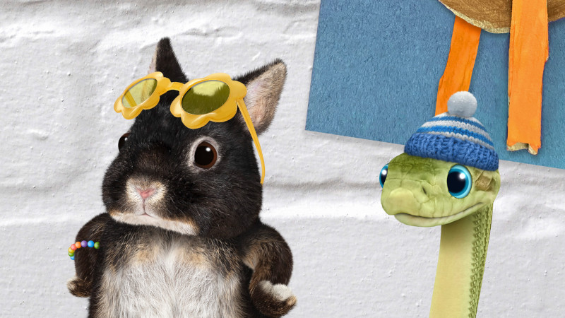 Wonder Pets in città