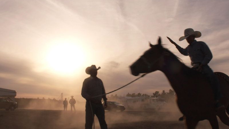 The Cowboy