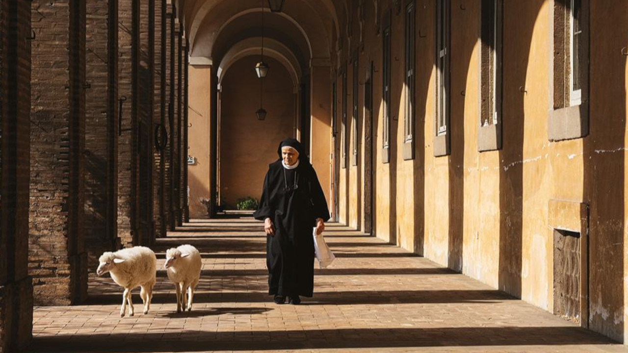  Dall'articolo: Agnus Dei, un film che offre l'occasione di abbandonare i ritmi frenetici. In streaming su MYmovies ONE.