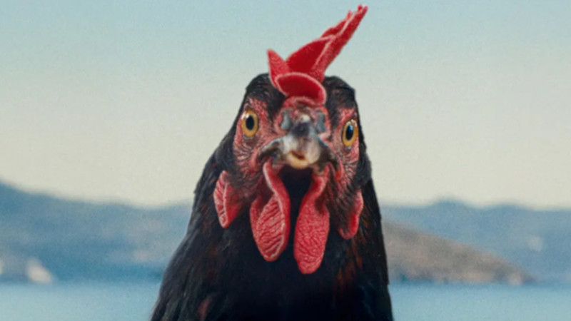 Hen