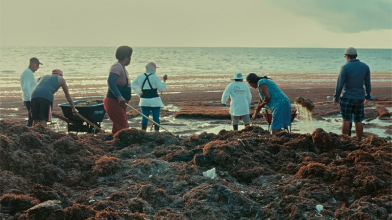 Choose Earth - Blue Print