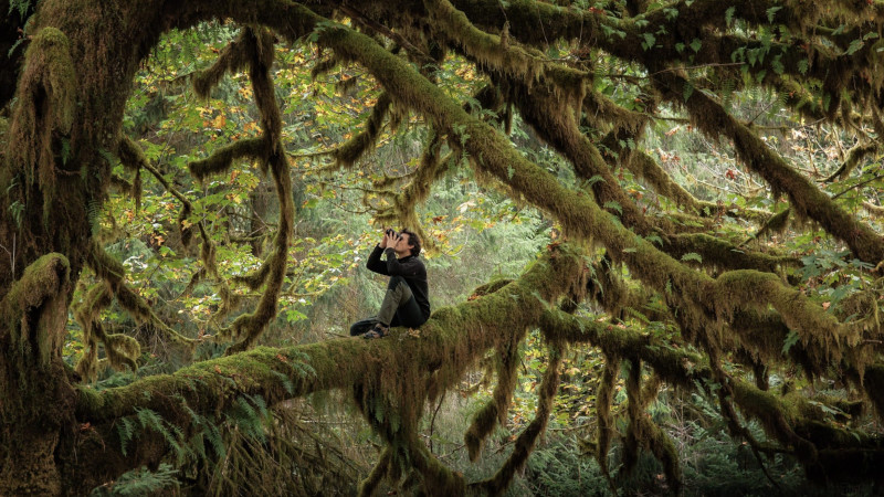 Whispers in the Woods