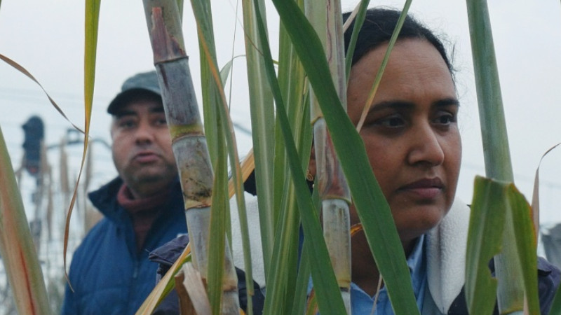 Historias del Buen Valle