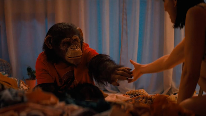 Ben - Rabbia animale