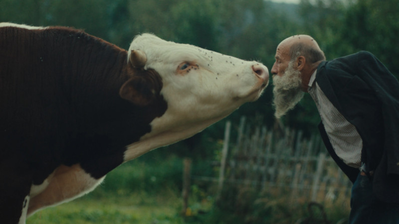 Better Go Mad in the Wild