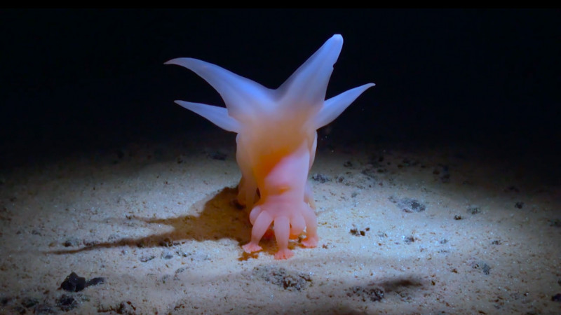 How Deep Is Your Love