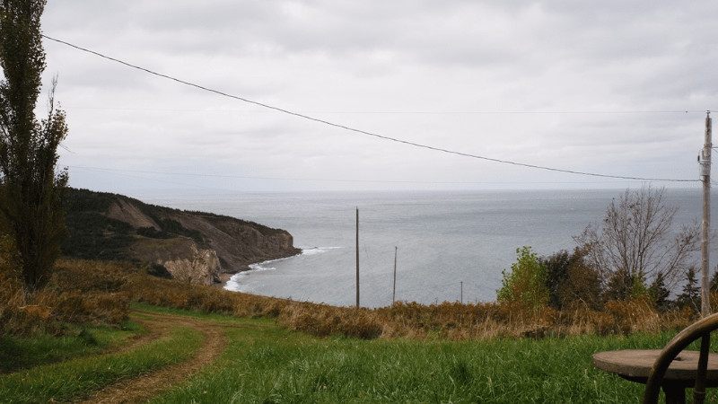 Another Light On the Road: Robert Frank & June Leaf's Canadian Home