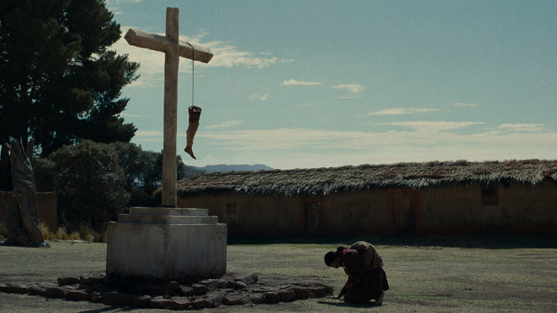 La anatomía de los caballos