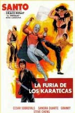 Poster La furia de los karatecas  n. 0