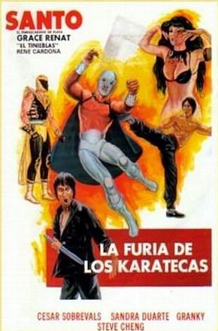 Locandina italiana La furia de los karatecas