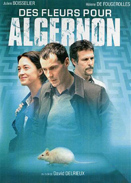 Des Fleurs Pour Algernon - Film (2006) 