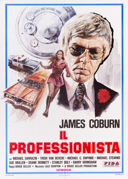 Poster Il professionista  n. 0