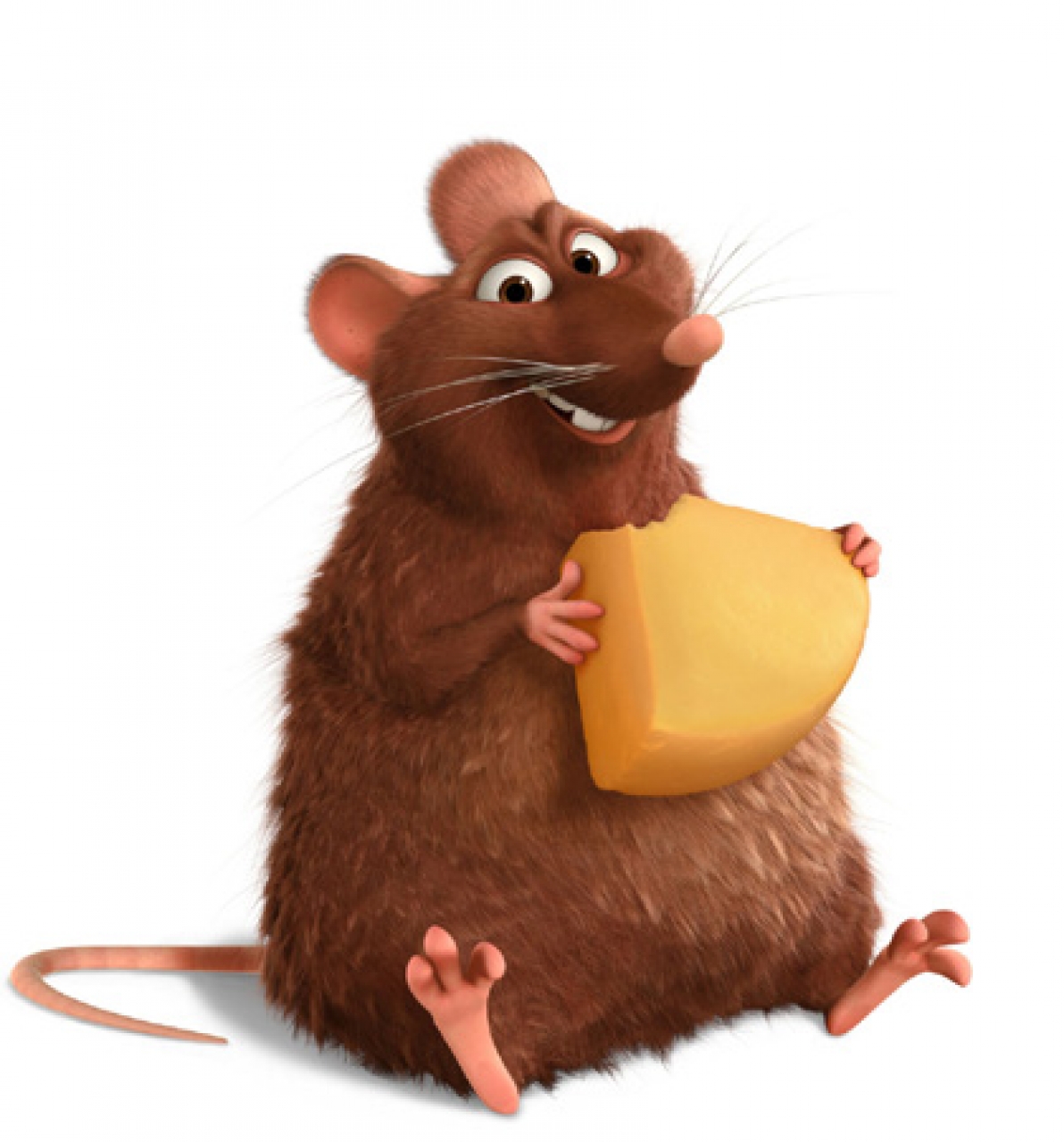 Ratatouille News 