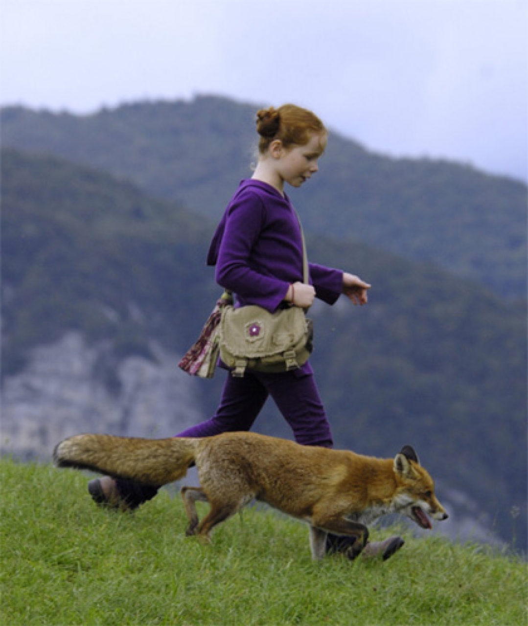 La Volpe E La Bambina Il Richiamo Della Foresta Mymovies It