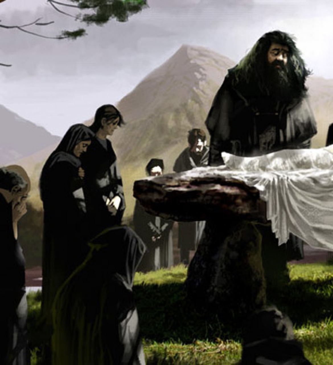 Harry Potter E Il Principe Mezzosangue Film 2009 Mymovies It
